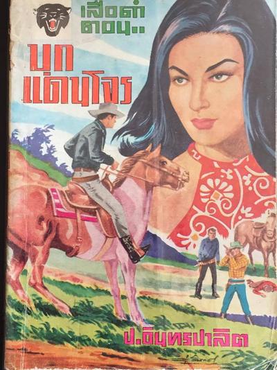 ปกเสือดำ 18 เล่ม